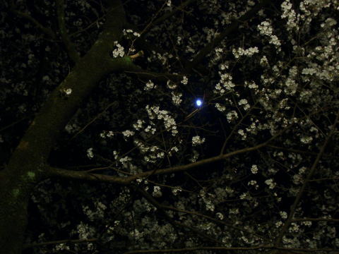 ���A�����č�